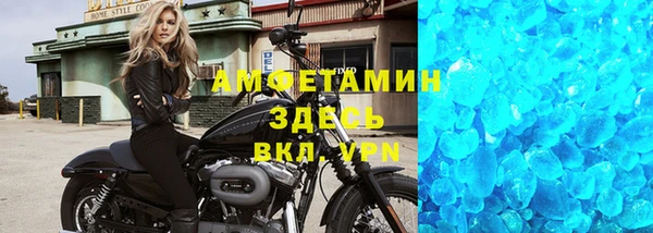 гидра Анжеро-Судженск