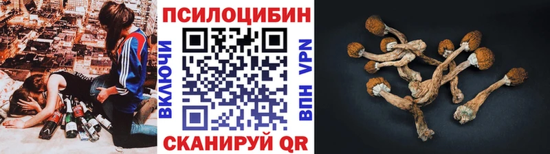 Галлюциногенные грибы Magic Shrooms  Красноуральск 